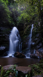 Scenic view of waterfall in forest