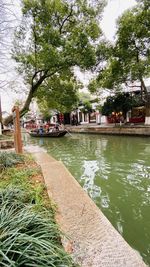 Scenic view of river by trees