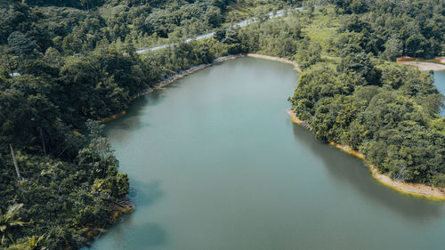 High angle view of river amidst trees in forest
