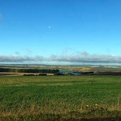 Scenic view of field against blue sky