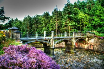 View of bridge over river