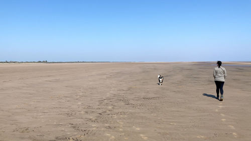 land