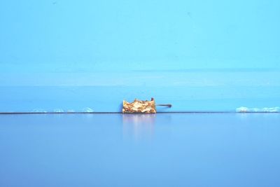 Scenic view of calm sea