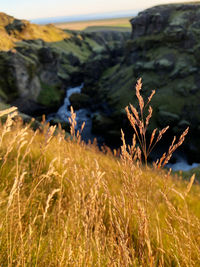 Scenic view of landscape against sky river grass gold sun sunny day rocks mountains  holiday travel