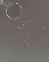 Close-up of water