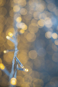 Close-up of illuminated christmas lights