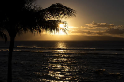 Silhouette palm tree by sea against sky during sunset