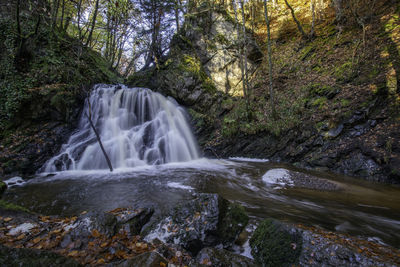 Scenic view of waterfall in forest