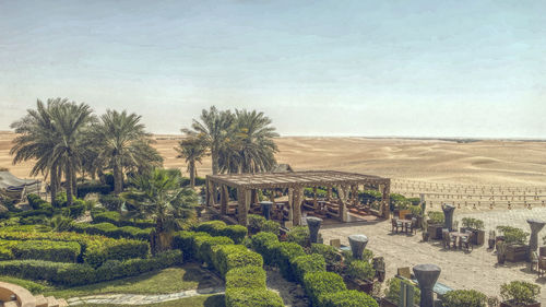 High angle view of plants against the sky