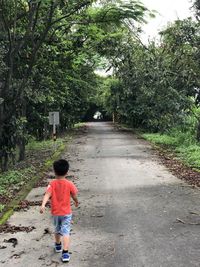 Rear view of boy walking on road amidst trees