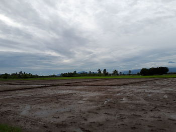 Scenic view of field against sky