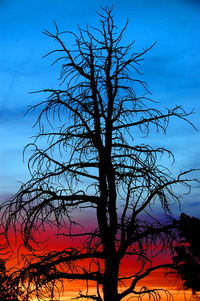 Low angle view of bare trees against sky at sunset