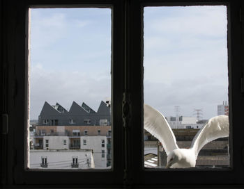 View of cityscape against sky seen through window