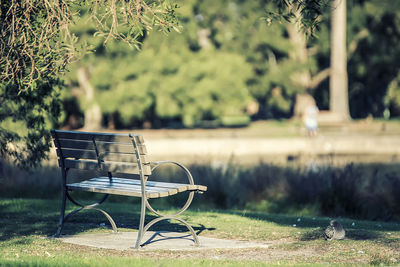 Empty chair on field against trees in park