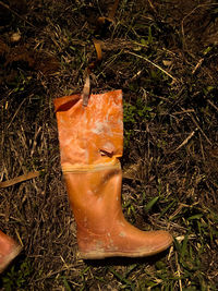 High angle view of damaged leaf on field