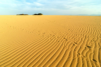 Scenic view of desert against sky