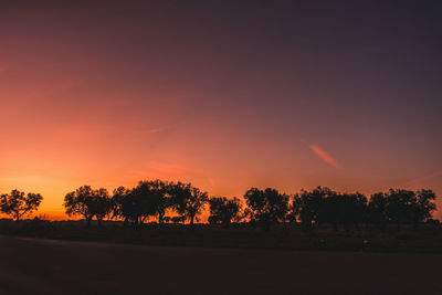 Silhouette trees on field against sky during sunset