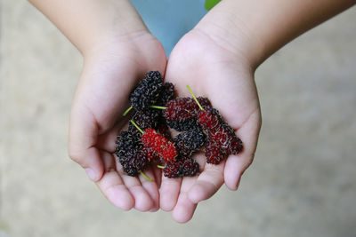 Midsection of person holding strawberry