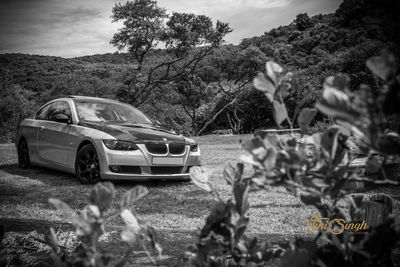 Car on road by trees against sky