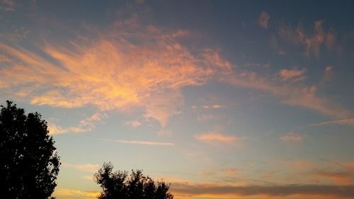 Low angle view of trees against sky at sunset