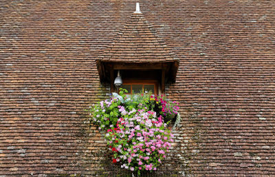 Flower pot against brick wall