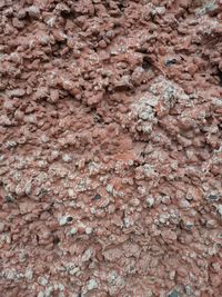 Full frame shot of rocks