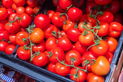 High angle view of tomatoes for sale at market