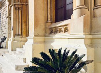 Potted plant against historic building