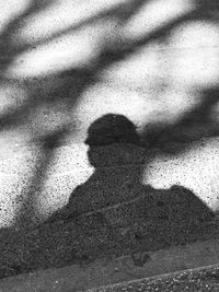 Shadow of person standing on floor