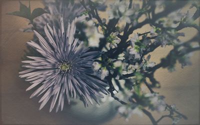 Close-up of flower tree