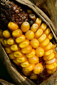 Close-up of fruits