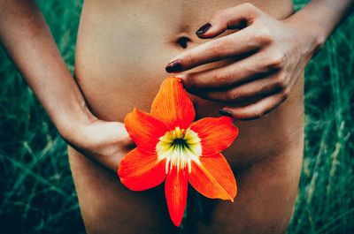 Midsection of young woman with orange flower