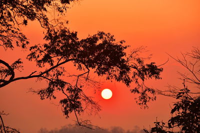 Low angle view of silhouette tree against romantic sky