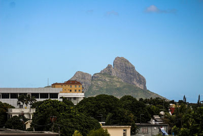 Trees and mountains against clear blue sky