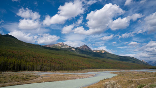 Scenic view of landscape against sky