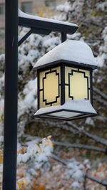 snow