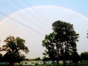 Trees against rainbow in sky