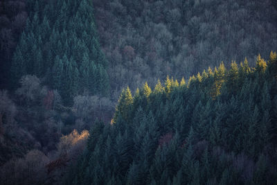 Paysage aveyron occitanie