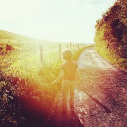 Full length rear view of child walking on dirt road by field against sky during sunny day