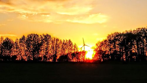 Silhouette trees against sky during sunset