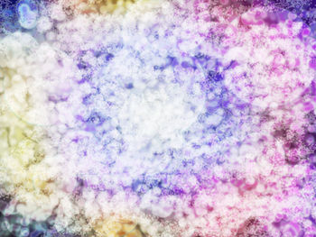 Full frame shot of purple flowering plant