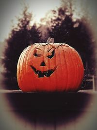 Close-up of pumpkin on plate