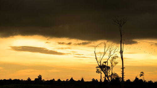 Silhouette trees on field against sky at sunset