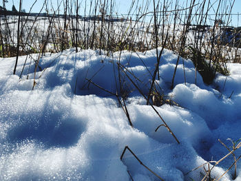 Snow covered land on field during winter