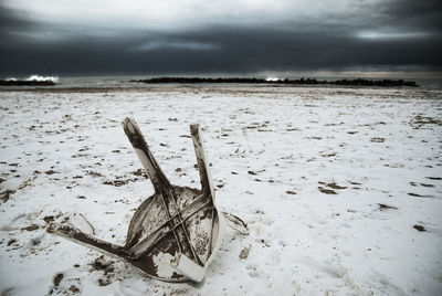 Close-up of horse on beach against sky during winter