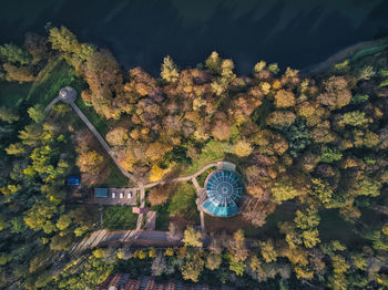 High angle view of plants by trees during autumn