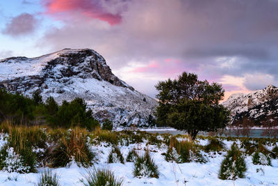 Scenic view of snowcapped mountains against sky during winter