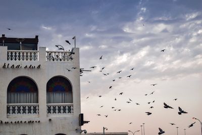 Low angle view of birds flying in building