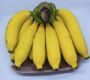 Close-up of fruits in plate