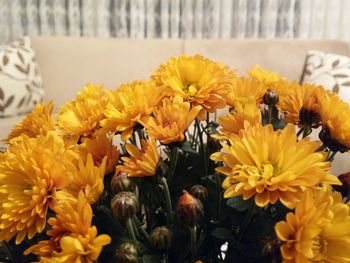 Close-up of bee on yellow flowers